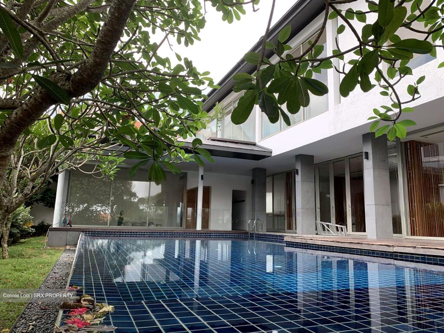 Shamrock Park (D10), Detached #477665491